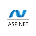 ASP.net Developer